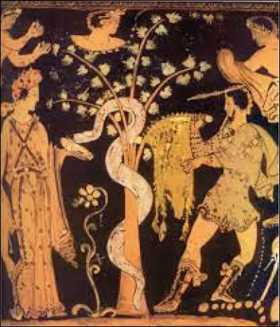 Il était fils d'Æson et petit fils de Créthée, il est éduqué par le centaure Chiron. Il est principalement connu pour sa recherche de la Toison d'or avec les Argonautes.