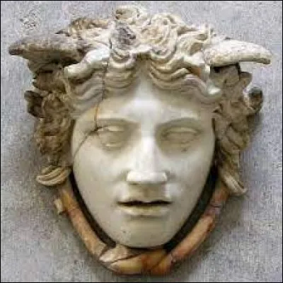 C'est l'une des trois Gorgones, la seule mortelle et à la figure d'une laideur repoussante ; ses yeux pétrifiaient tout mortel qui croisait son regard.