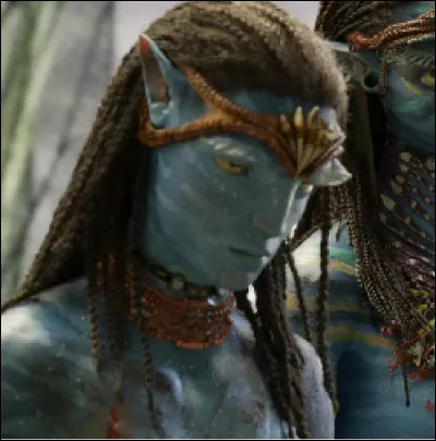 Comment Neteyam a-t-il été mortellement blessé ?