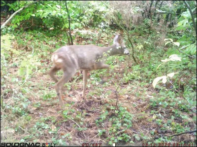 Ensemble des renseignements recueillis par un médecin auprès de son patient et de sa famille !