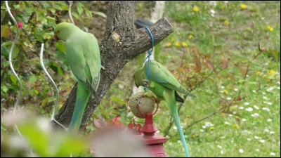 Présage, signe par lequel on présume de l'avenir !