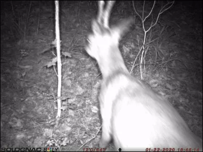 Ancien magistrat suprême et dirigeant politique grec de plusieurs cités !