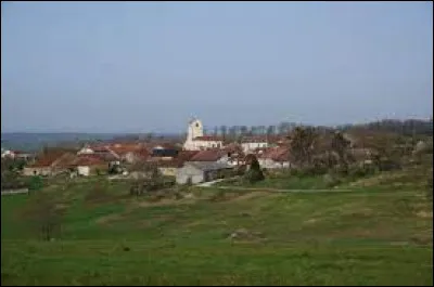 Nous sommes dans le Grand-Est, à Jorxey. Petit village de 80 habitants, dans l'aire d'attraction Mirecurtienne, il se situe dans le département ...