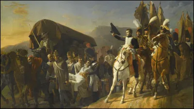 Vrai ou faux ? Napoléon a fait l'école militaire.