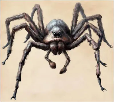 Comment s'appelle cette gigantesque araignée ?