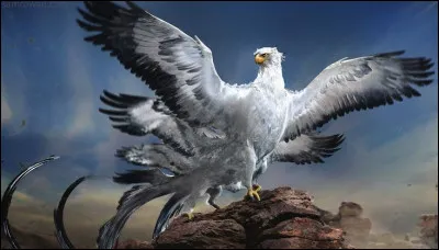 Comment s'appelle cet oiseau ?