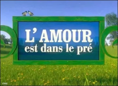 Quelle célébrité présente "L'Amour est dans le pré", une émission diffusée sur M6 ?