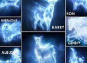 Quiz Les Patronus dans ''Harry Potter''