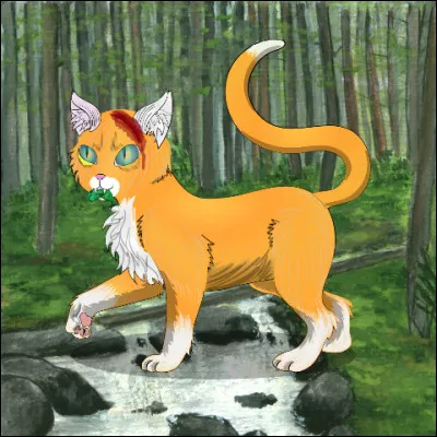 Si le clan des Étoiles t'envoie une vision disant "le feu sauvera notre clan", que fais-tu ?