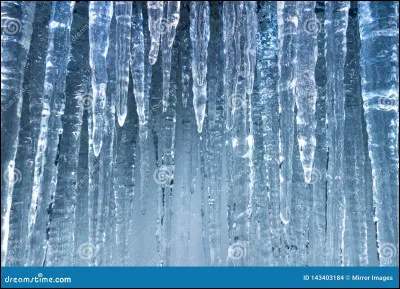 Lequel est l'intrus ?