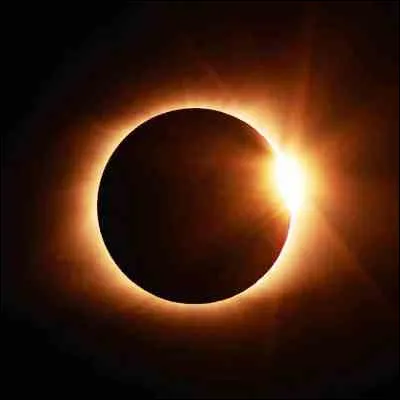 Quelle chanteuse interprète le titre "Total Eclipse of the Heart" ?