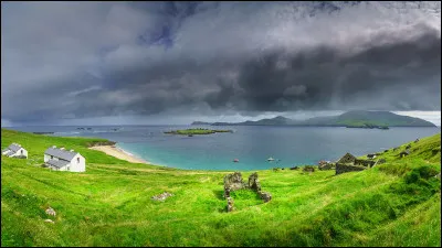 Quel président américain était d'origine irlandaise ?