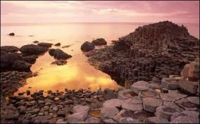 Quel acteur tient le rôle principal du long-métrage "Les Sorcières d'Inisherin" ?