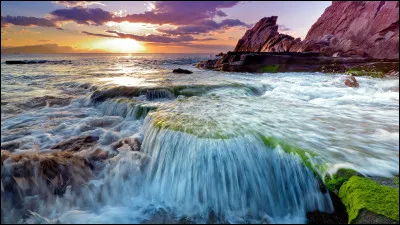 Quel acteur ne voit-on pas dans le film "The Irishman" ?