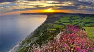 Quel est l'instrument de musique symbole de l'Irlande ?