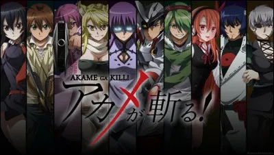 Qui est le personnage le plus fort de tout "Akame ga Kill" ?