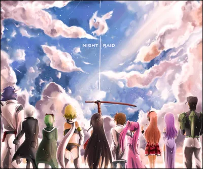 Qui commande le Night Raid et l'armée rebelle ?