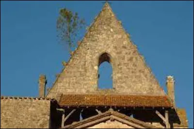 Voici un pin qui pousse sur le clocher d'une église. D'après-vous, cette image est-elle un photo-montage ou bien réelle ?
