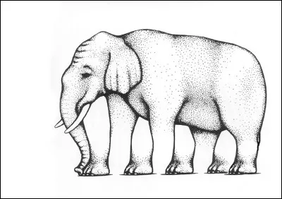 Combien de pattes a-t-il ?