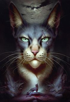 Quiz Erin hunter