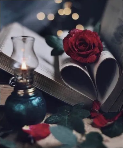 Belle de jour, toujours ! Du livre de quel écrivain a été adapté ce film ?