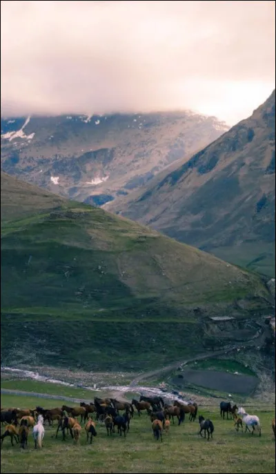 Dans quelle chaîne de montagne se situe l'Arménie ?