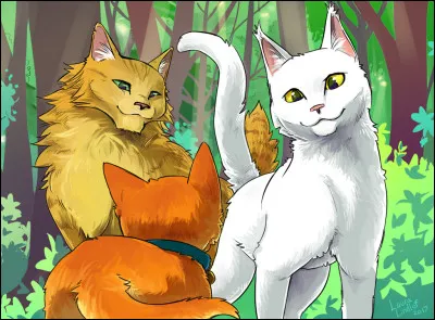 Quel chat LGDC préfères-tu parmi ceux-ci ?