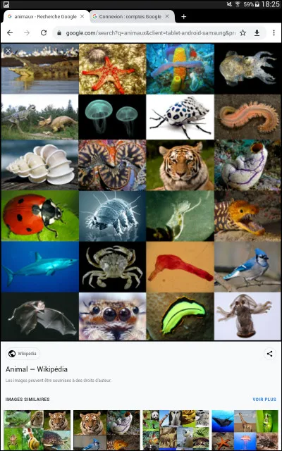 Quelle proie préfères-tu chasser ?