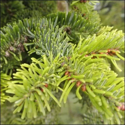 Quand on est sur ce genre d'odeurs, l'ambiance est plutôt...