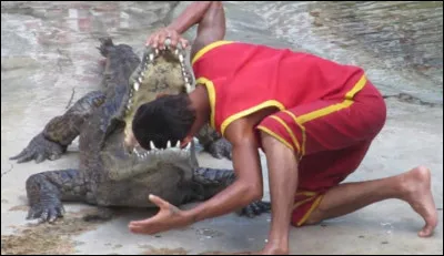 Pour illustrer, un des fameux récipiendaires est mort étouffé après s'être vanté de pouvoir avaler en une seule bouchée...