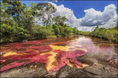 Où trouve-t-on la Colombie ?