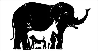 Combien y a-t-il d'animaux ?