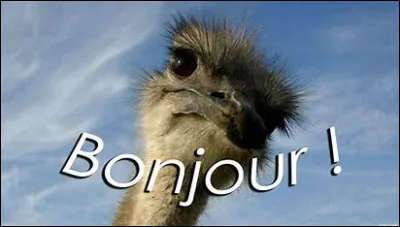 Comment écrit-on "bonjour" ?