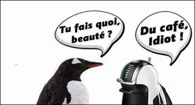 Que veut dire "tfq" ?