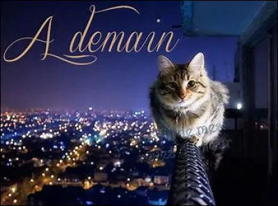 Que veut dire "A2m1" ?