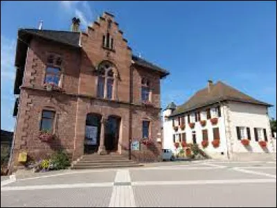 Commune du Grand-Est, dans l'arrondissement de Molsheim, Niederhaslach se situe dans le département ...