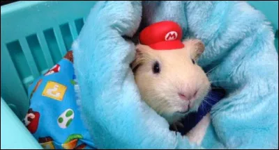 Il a perdu son frère mais pas de soucis il réparera vos tuyaux, c'est...