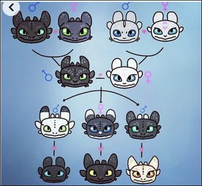 Qui serait ton meilleur ami dans dragon