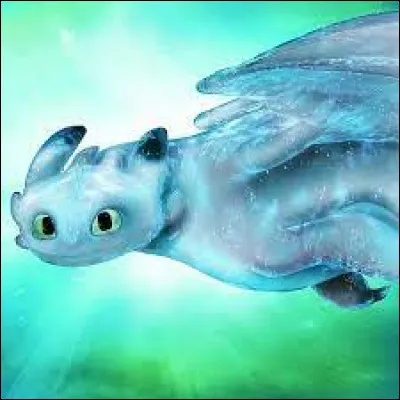 Qui sont les plus mignons ?