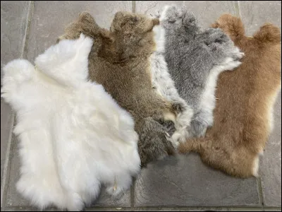 Home de cars, c'est le...