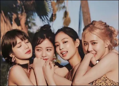 Quel est le lighstitck de Blackpink ?