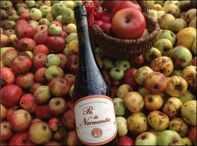 Quelle est cette boisson en P, un alcool apéritif obtenu par assemblage de jus de pomme non fermenté et d'eau-de-vie ?