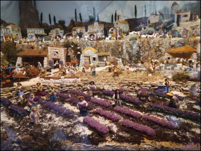 Où aimerais-tu habiter ?