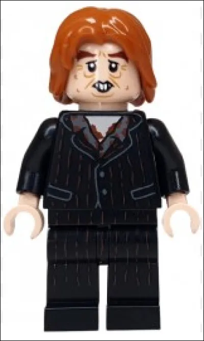 Qui est ce personnage dans "Harry Potter" ?