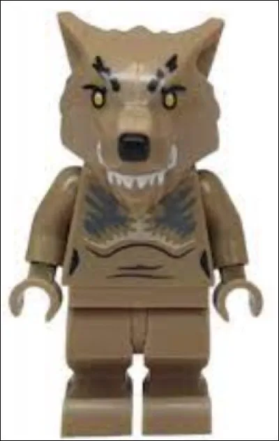 Qui est ce personnage dans "Harry Potter" ?