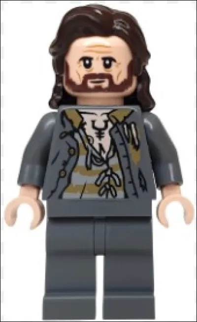 Qui est ce personnage dans "Harry Potter" ?