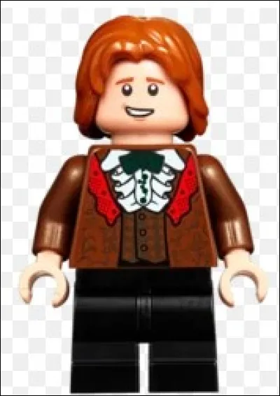 Qui est ce personnage dans "Harry Potter" ?