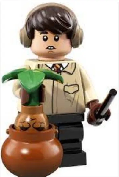 Qui est ce personnage dans "Harry Potter" ?