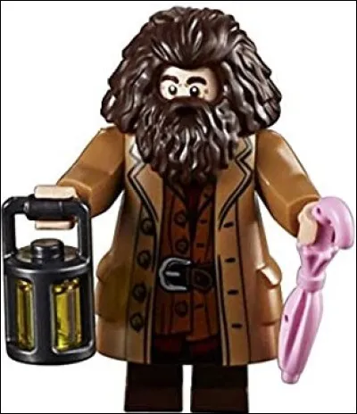 Qui est ce personnage dans "Harry Potter" ?