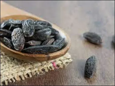 Comment s'appelle le fruit provenant du teck brésilien (Dipteryx Odorata) ?